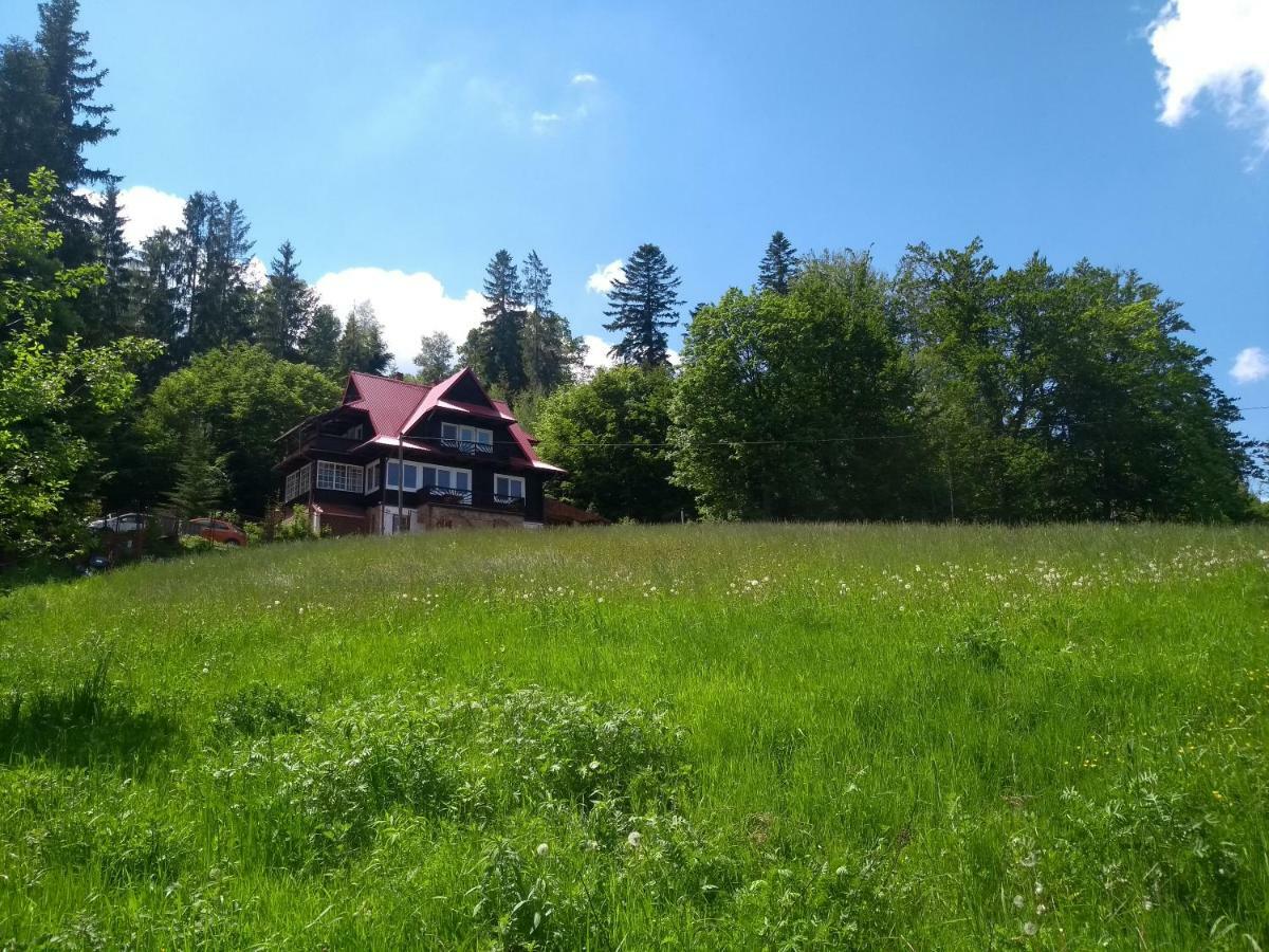 Willa Wislok Wisla Bagian luar foto