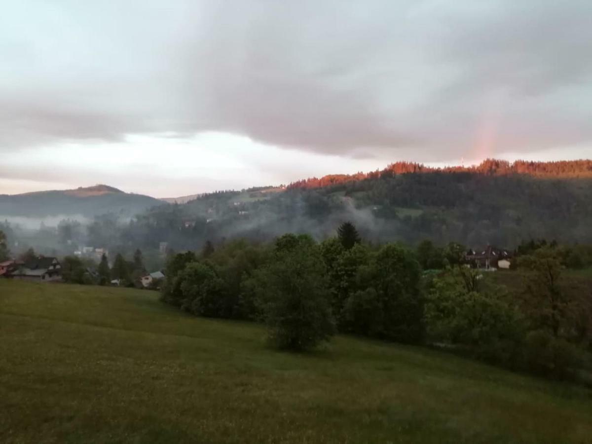 Willa Wislok Wisla Bagian luar foto