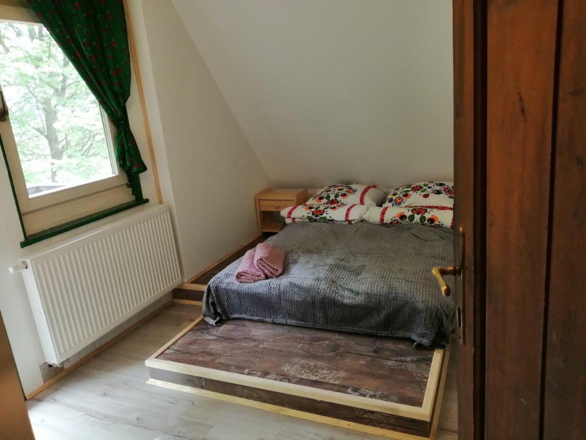 Willa Wislok Wisla Bagian luar foto